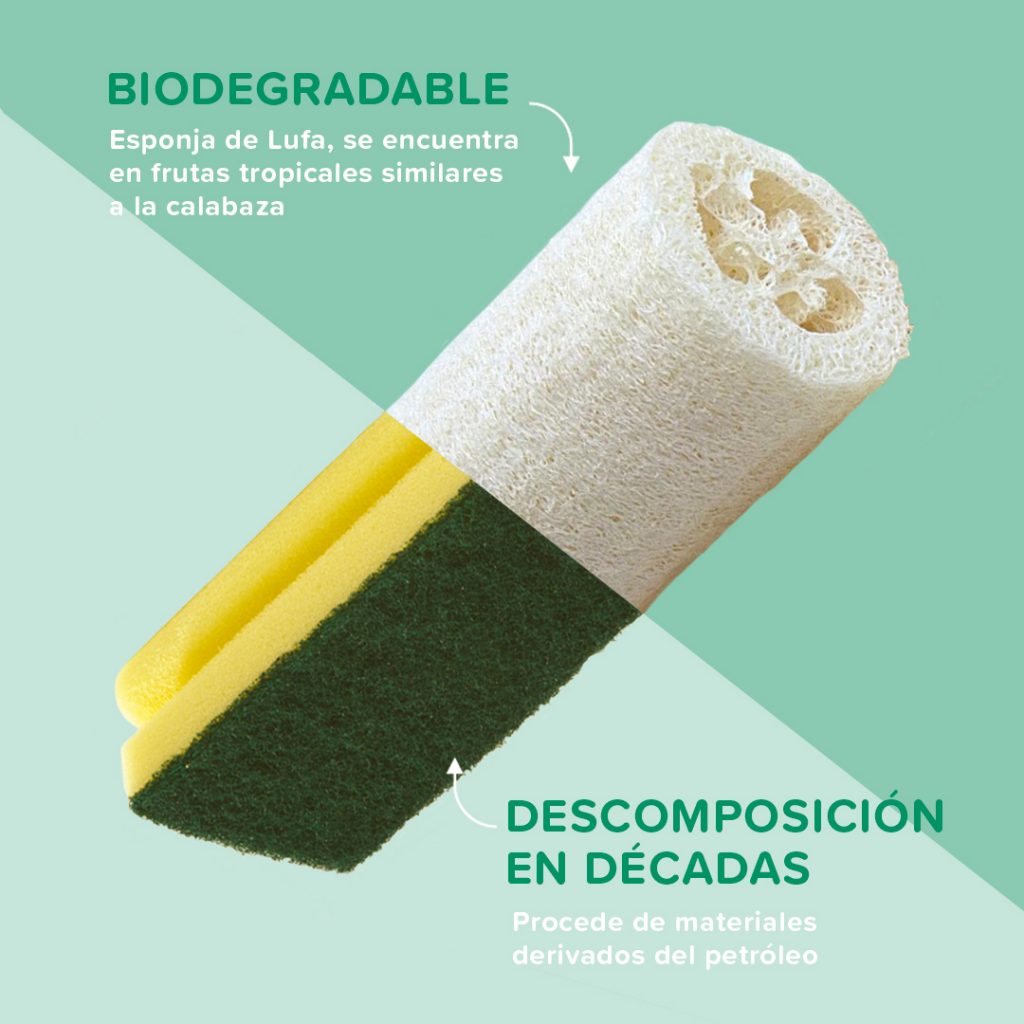 Alternativas ecológicas y biodegradables a los estropajos de cocina -  Lógica Eco